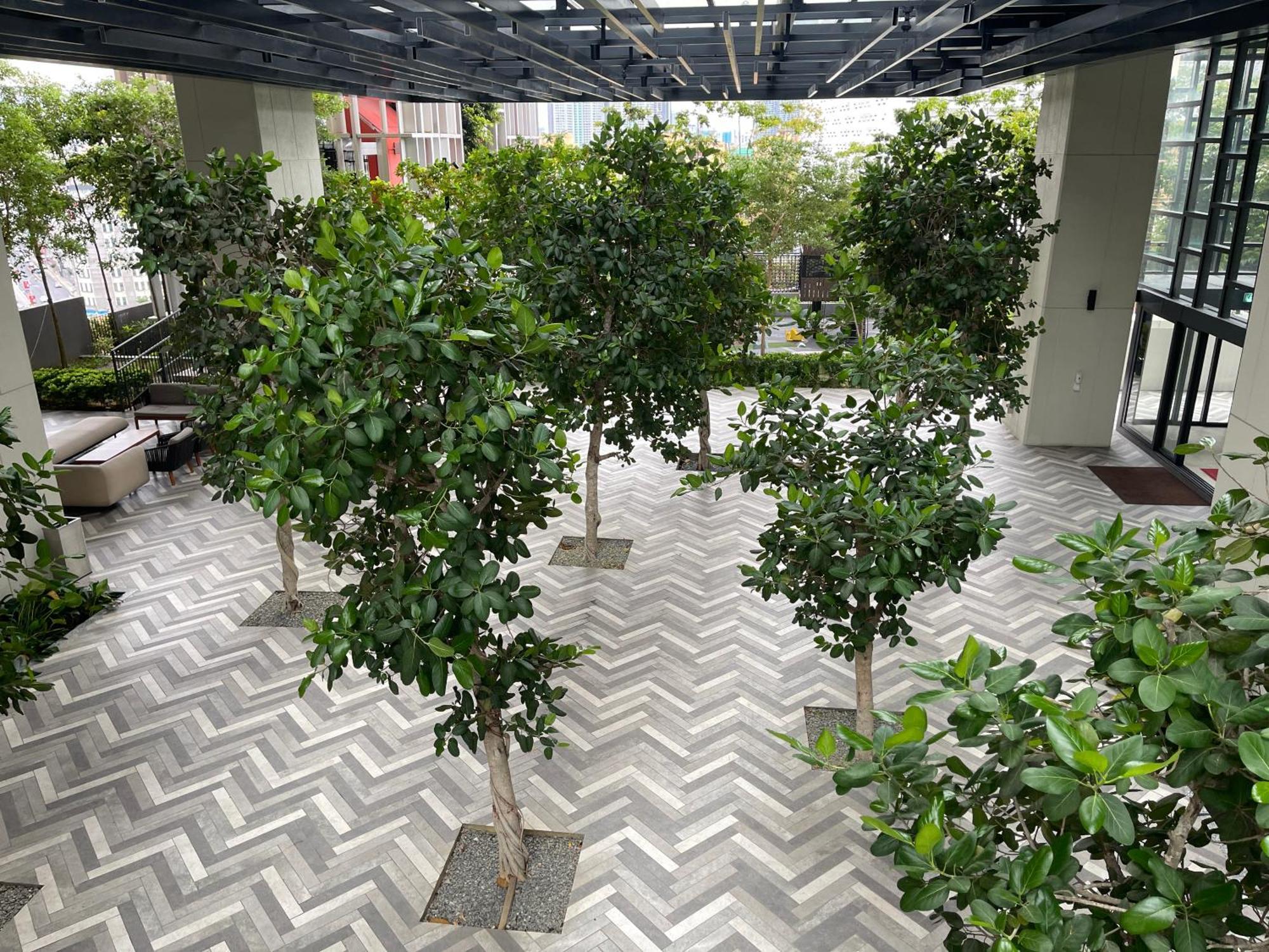 Pangsapuri In Bukit Bintang Lalaport *